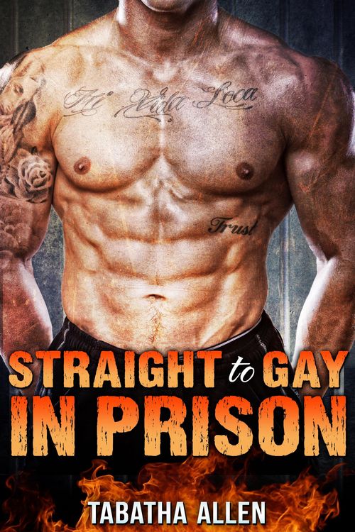 Produktbild: Straight to Gay in Prison