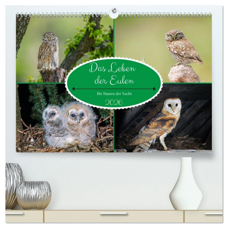 Produktbild: Das Leben der Eulen, die Damen der Nacht (hochwertiger Premium Wandkalender 2026 DIN A2 quer), Kunstdruck in Hochglanz