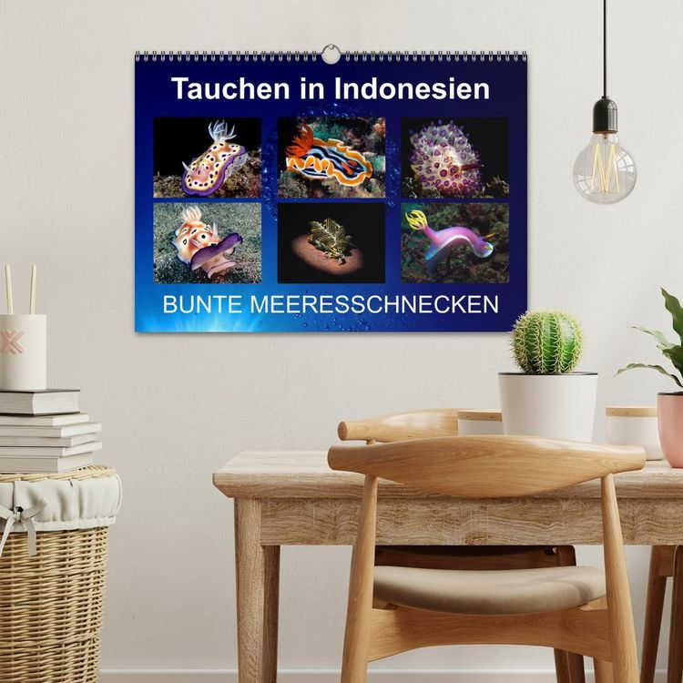 Produktbild: Tauchen in Indonesien - BUNTE MEERESSCHNECKEN (Wandkalender 2026 DIN A3 quer), CALVENDO Monatskalender