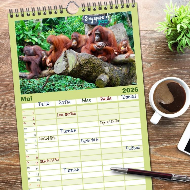 Produktbild: Familienplaner 2026 - Orang-Utans mit 5 Spalten (Wandkalender, 21 x 45 cm) CALVENDO