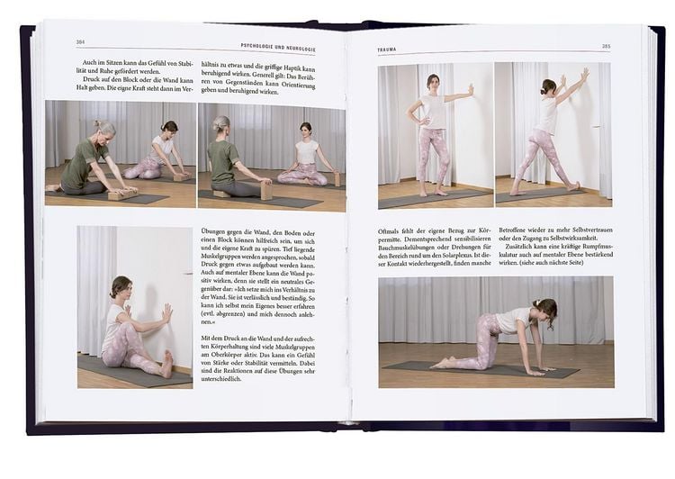 Produktbild: Yoga-Therapie in der Praxis