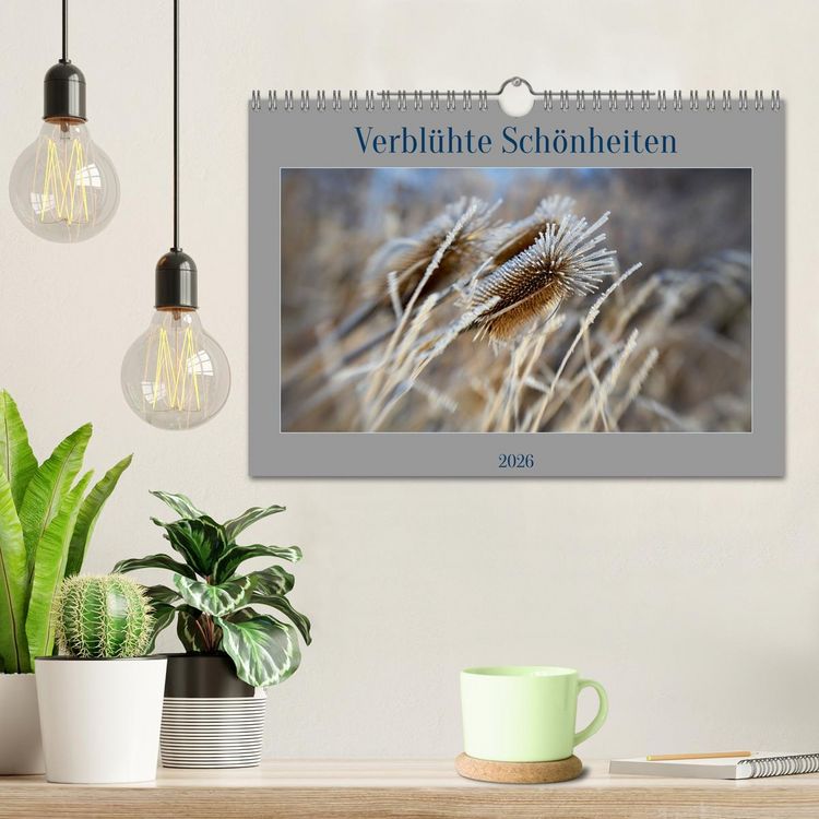 Produktbild: Verbl&uuml;hte Sch&ouml;nheiten (Wandkalender 2026 DIN A4 quer), CALVENDO Monatskalender