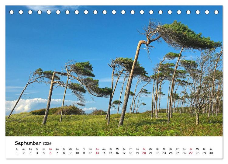 Produktbild: Deutschland- Nordsee und Ostsee (Tischkalender 2026 DIN A5 quer), CALVENDO Monatskalender