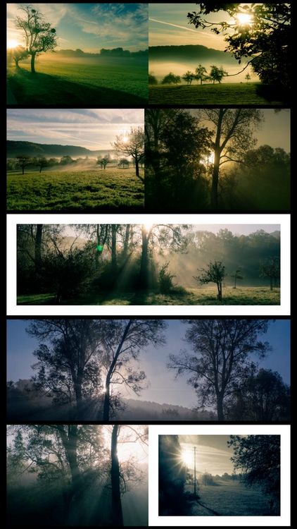 Produktbild: Moments Of Nature