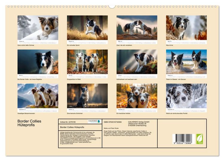 Produktbild: Border Collies H&uuml;teprofis (hochwertiger Premium Wandkalender 2026 DIN A2 quer), Kunstdruck in Hochglanz