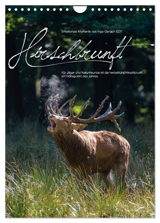 Produktbild: Emotionale Momente: Hirschbrunft (Wandkalender 2026 DIN A4 hoch), CALVENDO Monatskalender