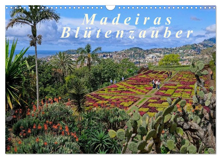 Produktbild: Madeiras Bl&uuml;tenzauber (Wandkalender 2026 DIN A3 quer), CALVENDO Monatskalender