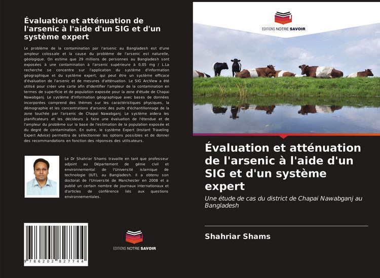 Produktbild: &Eacute;valuation et att&eacute;nuation de l'arsenic &agrave; l'aide d'un SIG et d'un syst&egrave;me expert