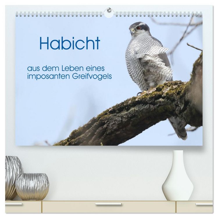 Produktbild: Habicht - aus dem Leben eines imposanten Greifvogels (hochwertiger Premium Wandkalender 2026 DIN A2 quer), Kunstdruck in Hochglanz