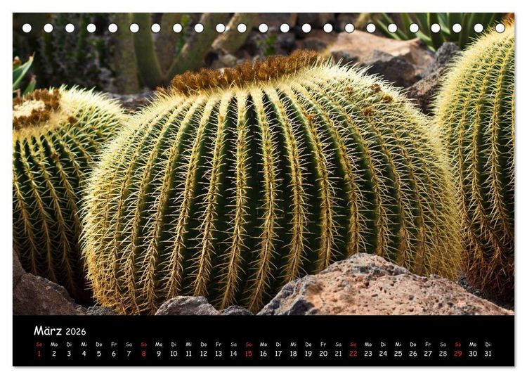 Produktbild: Lanzarote (Tischkalender 2026 DIN A5 quer), CALVENDO Monatskalender