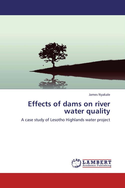 Produktbild: Effects of dams on river water quality