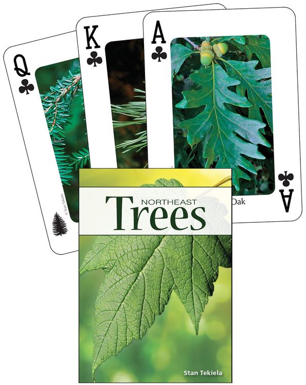 Produktbild: Trees of the Northeast Playing Cards