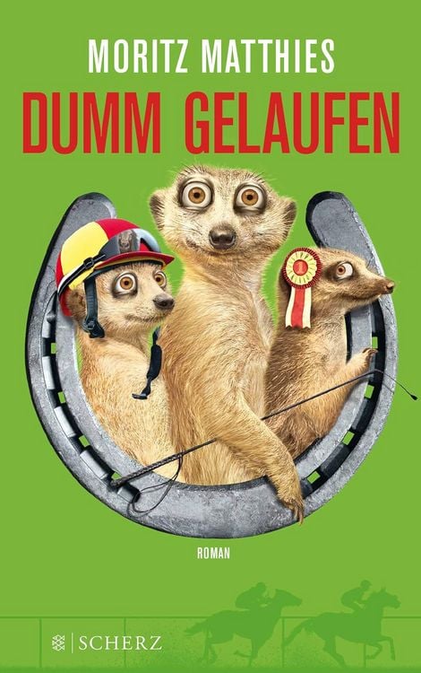 Produktbild: Dumm gelaufen