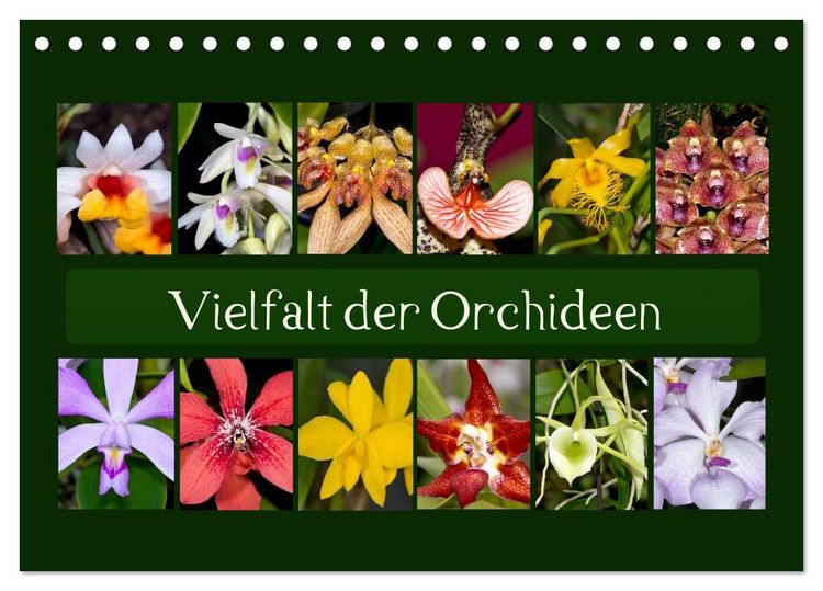 Produktbild: Vielfalt der Orchideen (Tischkalender 2026 DIN A5 quer), CALVENDO Monatskalender