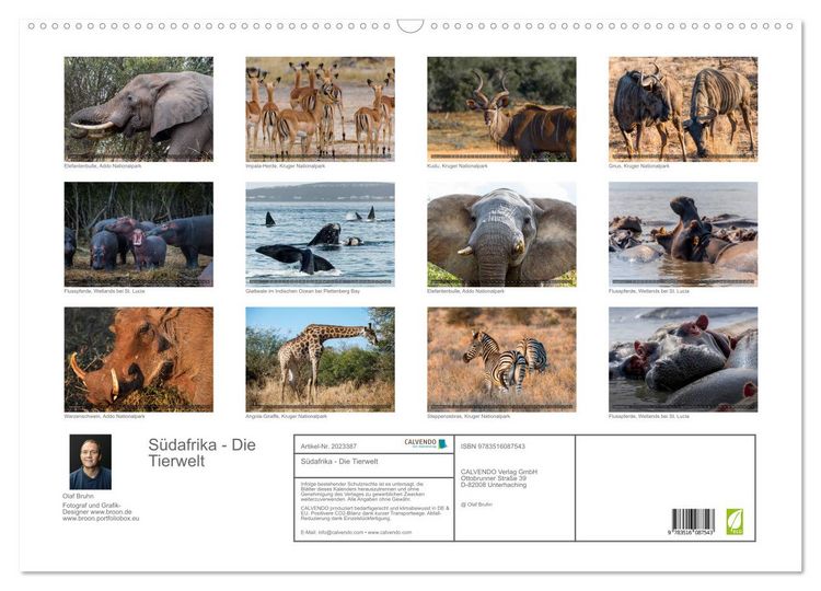 Produktbild: S&uuml;dafrika - Die Tierwelt (Wandkalender 2026 DIN A2 quer), CALVENDO Monatskalender