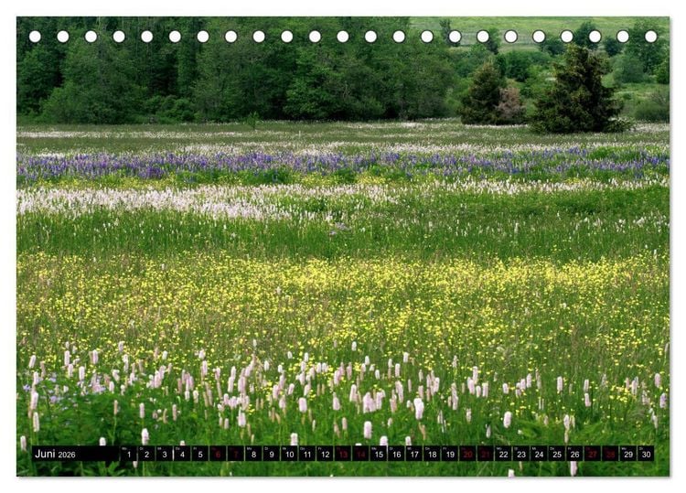 Produktbild: Die Rh&ouml;n (Tischkalender 2026 DIN A5 quer), CALVENDO Monatskalender