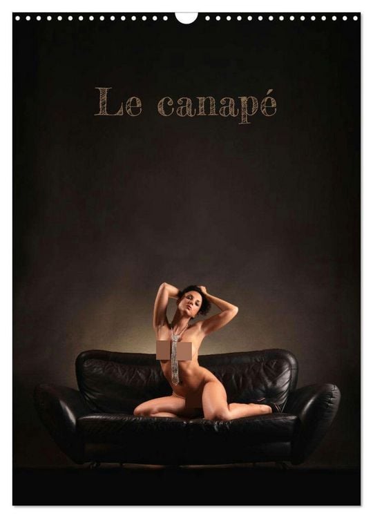 Produktbild: Le canap&eacute; (Calendrier mural 2026 DIN A3 horizontal), CALVENDO calendrier mensuel