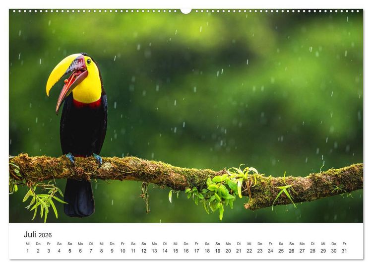 Produktbild: Costa Rica - exotische Tierwelt und unber&uuml;hrte Natur (hochwertiger Premium Wandkalender 2026 DIN A2 quer), Kunstdruck in Hochglanz