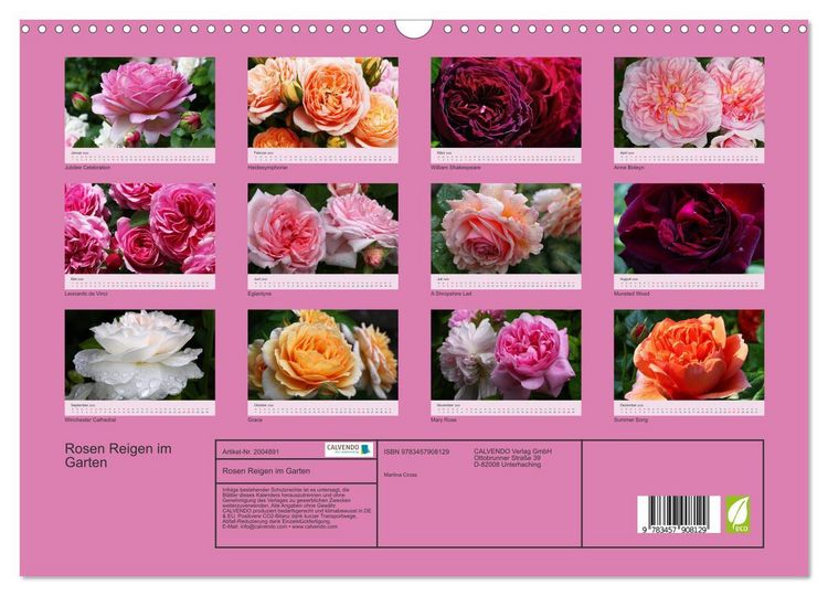 Produktbild: Rosen Reigen im Garten (Wandkalender 2026 DIN A3 quer), CALVENDO Monatskalender