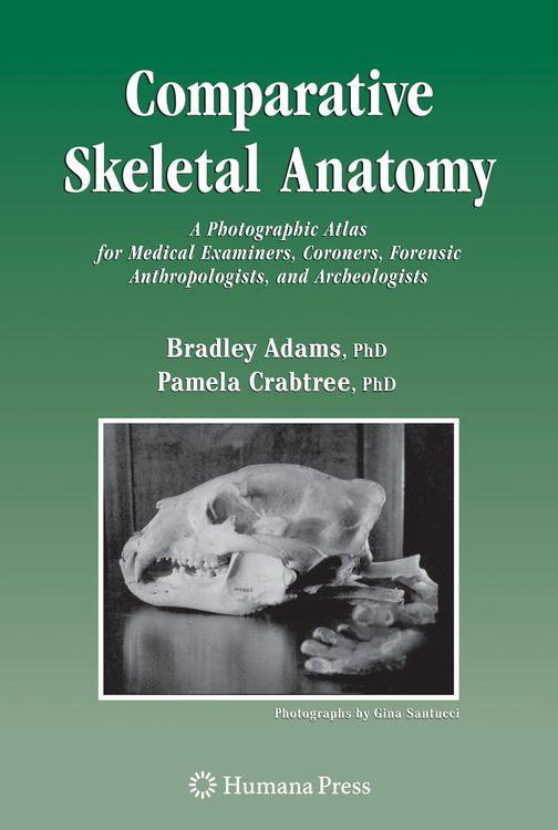 Produktbild: Comparative Skeletal Anatomy