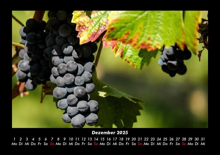 Produktbild: Fr&uuml;chte 2025 Fotokalender DIN A3