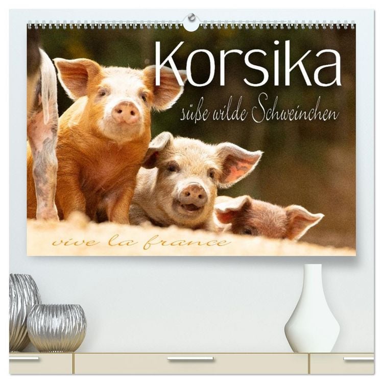 Produktbild: Korsika - s&uuml;&szlig;e, wilde Schweinchen (hochwertiger Premium Wandkalender 2026 DIN A2 quer), Kunstdruck in Hochglanz