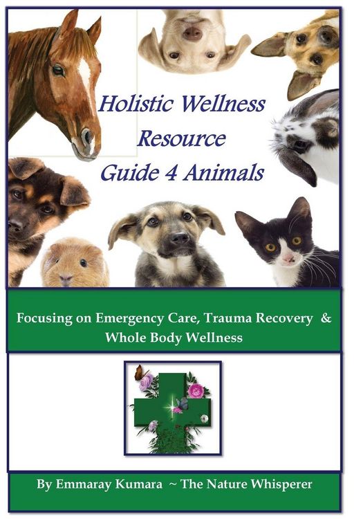 Produktbild: Holistic Wellness Resource Guide for Animals