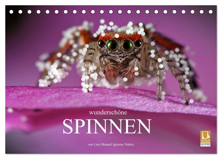 Produktbild: Wundersch&ouml;ne Spinnen (Tischkalender 2026 DIN A5 quer), CALVENDO Monatskalender