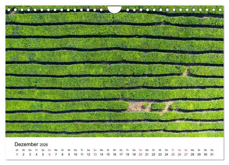 Produktbild: Mauritius - Wanderimpressionen von Rolf Dietz (Wandkalender 2026 DIN A4 quer), CALVENDO Monatskalender