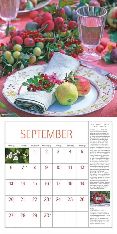 Produktbild: DuMonts Kr&auml;uter Kalender 2027