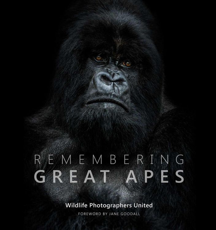 Produktbild: Remembering Great Apes