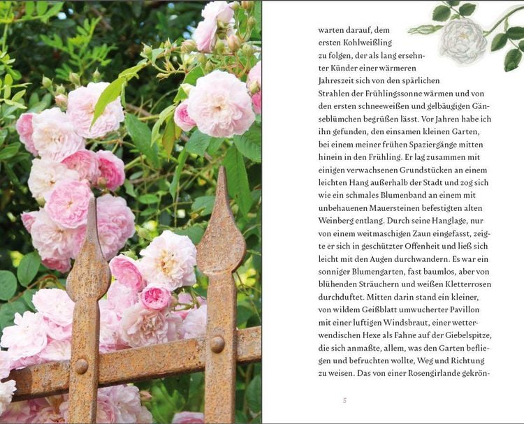Produktbild: Der kleine Schmetterlingsgarten