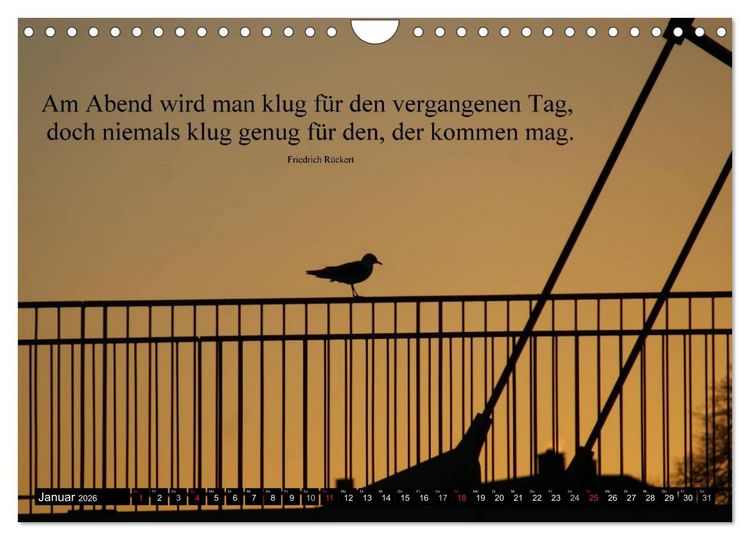 Produktbild: Weisheiten, Zitate und Spr&uuml;che - Ein Jahr voller Gedanken 2026 (Wandkalender 2026 DIN A4 quer), CALVENDO Monatskalender