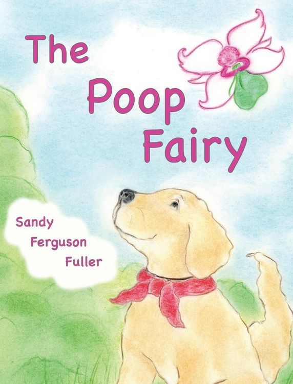 Produktbild: The Poop Fairy