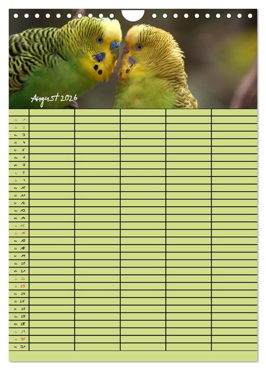 Produktbild: Der Wellensittich-Familienplaner (Wandkalender 2026 DIN A4 hoch), CALVENDO Monatskalender