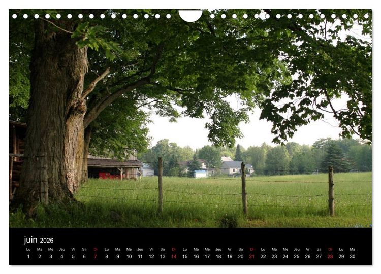 Produktbild: Regard sur les saisons du Qu&eacute;bec (Calendrier mural 2026 DIN A4 vertical), CALVENDO calendrier mensuel