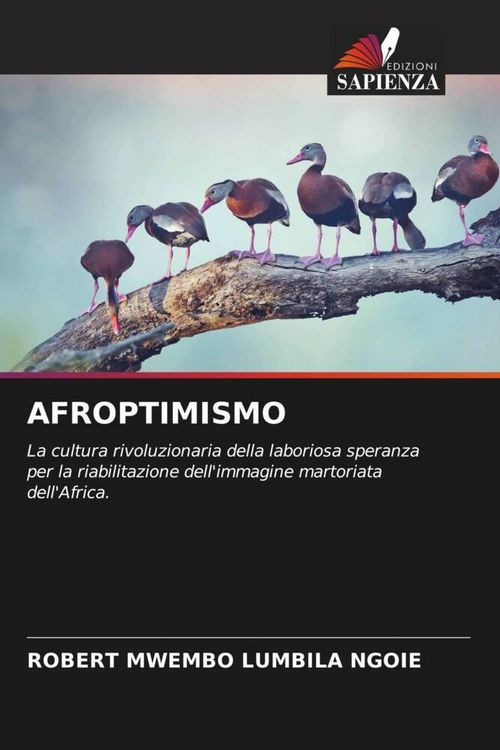 Produktbild: Afroptimismo