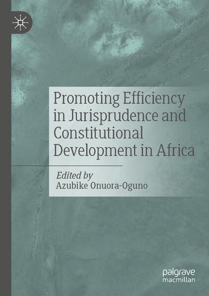 Produktbild: Promoting Efficiency in Jurisprudence and Constitutional Development in Africa