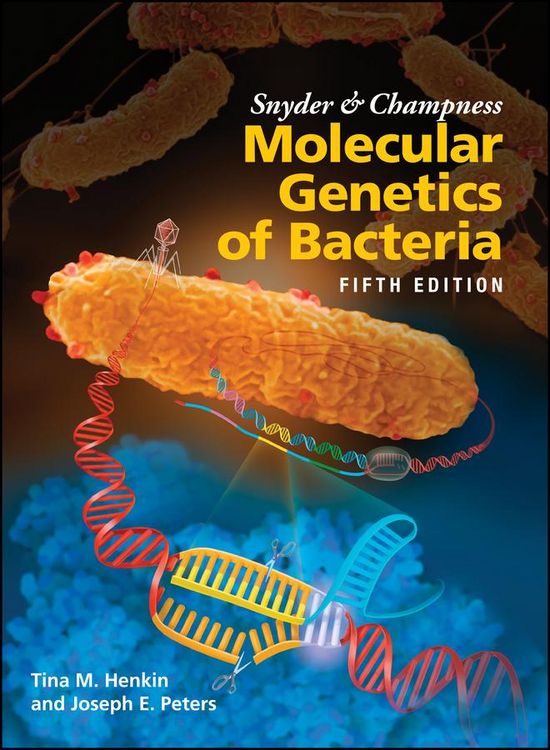 Produktbild: Snyder and Champness Molecular Genetics of Bacteria
