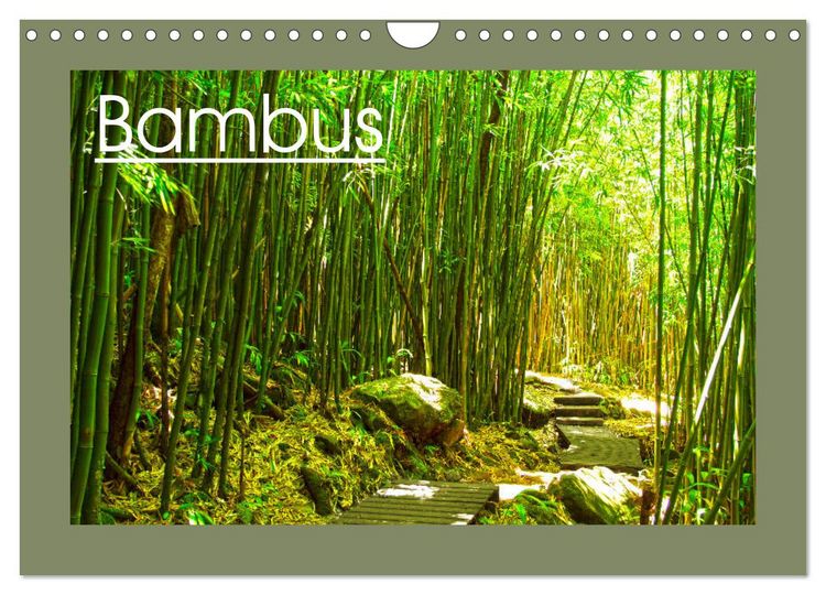 Produktbild: Bambus (Wandkalender 2026 DIN A4 quer), CALVENDO Monatskalender