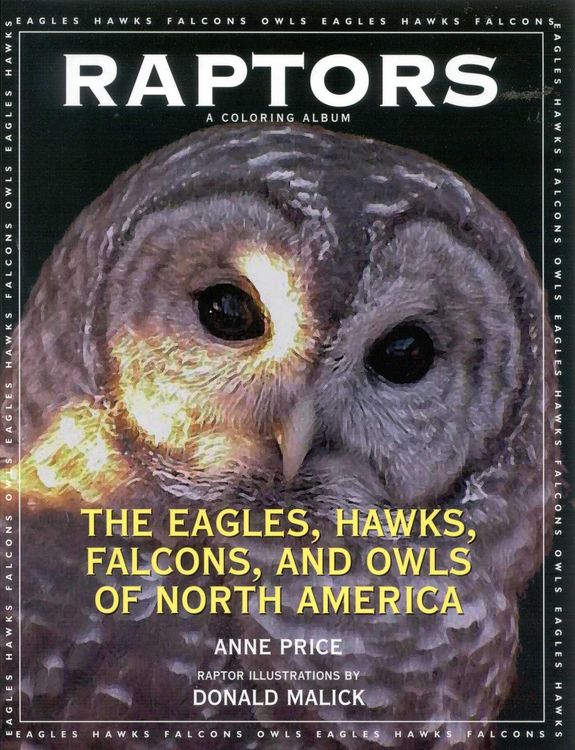 Produktbild: Raptors