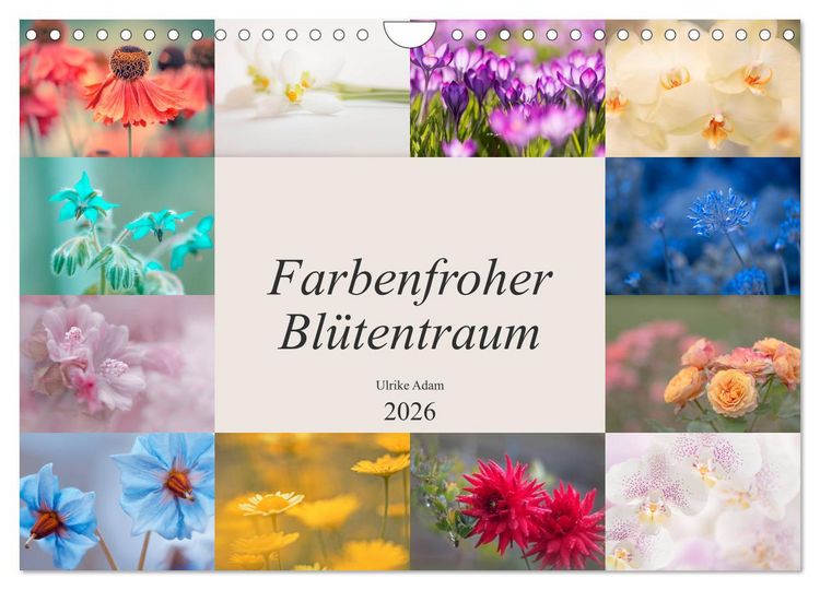 Produktbild: Farbenfroher Bl&uuml;tentraum (Wandkalender 2026 DIN A4 quer), CALVENDO Monatskalender
