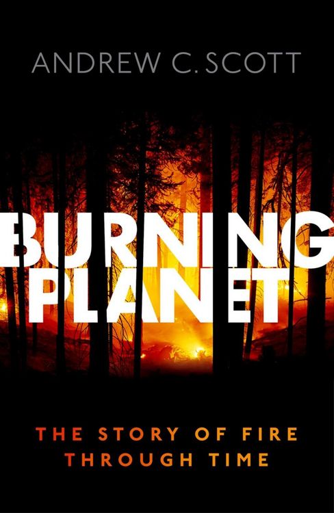 Produktbild: Burning Planet