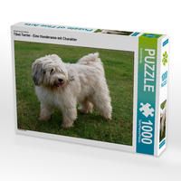 Produktbild: CALVENDO Puzzle Tibet-Terrier - Eine Hunderasse mit Charakter 1000 Teile Lege-Gr&ouml;&szlig;e 64 x 48 cm Foto-Puzzle Bild von Rudolf Bindig