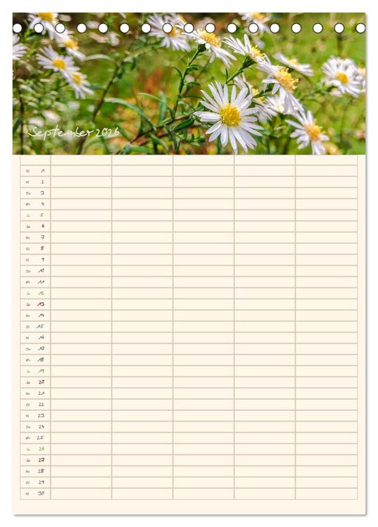 Produktbild: Mit Blick in den Garten (Tischkalender 2026 DIN A5 hoch), CALVENDO Monatskalender