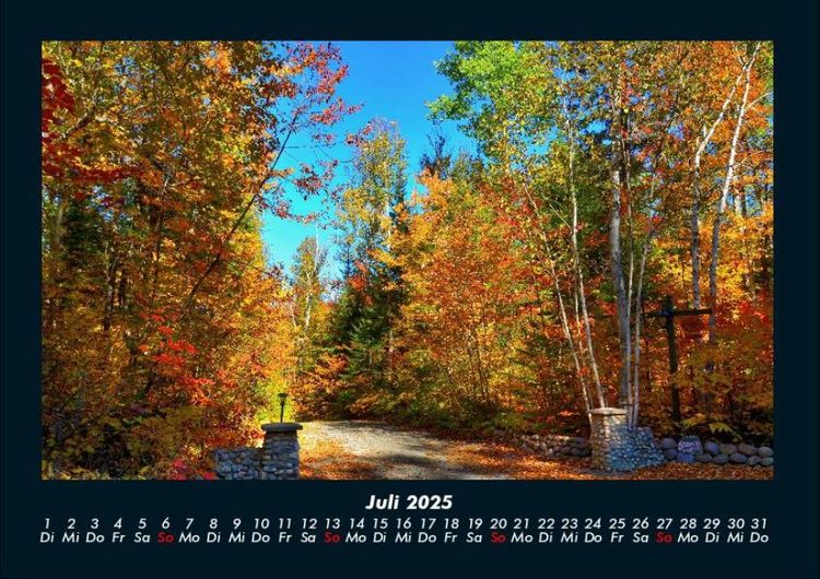 Produktbild: B&auml;ume 2025 Fotokalender DIN A4