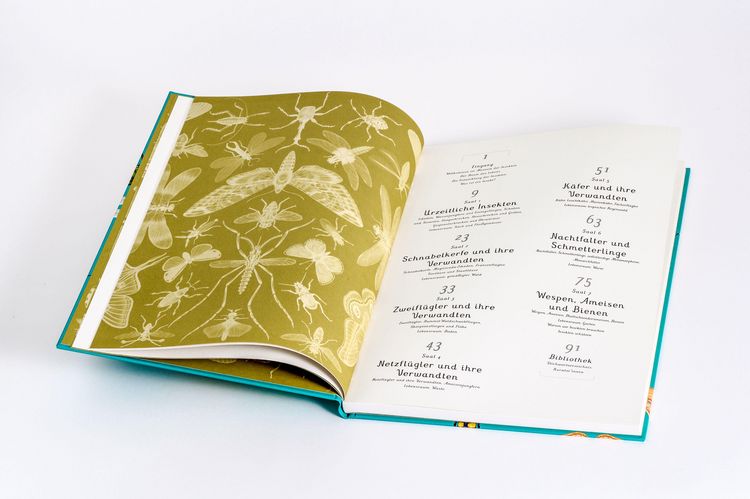 Produktbild: Das Museum der Insekten