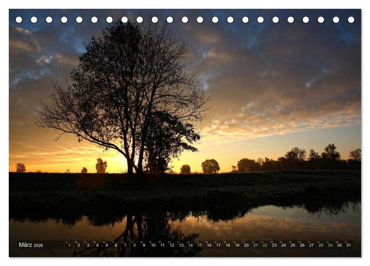 Produktbild: B&auml;ume (Tischkalender 2026 DIN A5 quer), CALVENDO Monatskalender