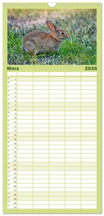 Produktbild: Familienplaner 2026 - Feldhasen und Kaninchen mit 5 Spalten (Wandkalender, 21 x 45 cm) CALVENDO