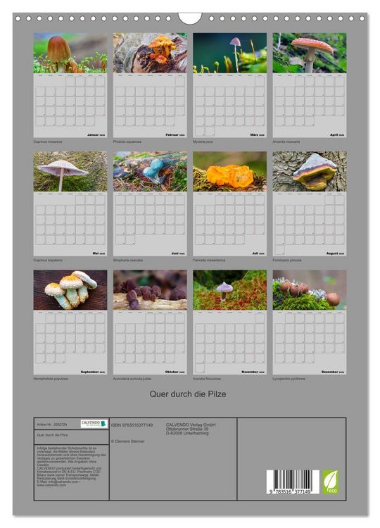 Produktbild: Quer durch die Pilze (Wandkalender 2026 DIN A3 hoch), CALVENDO Monatskalender